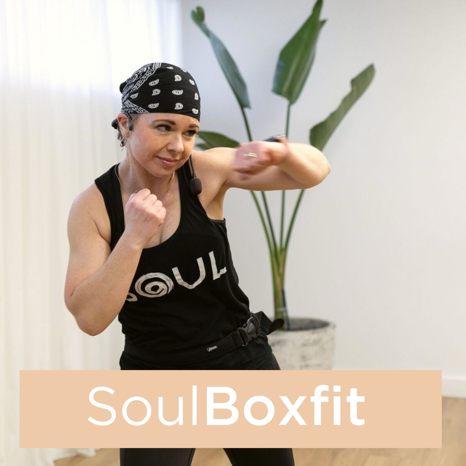 SoulBoxFit